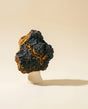 Chaga