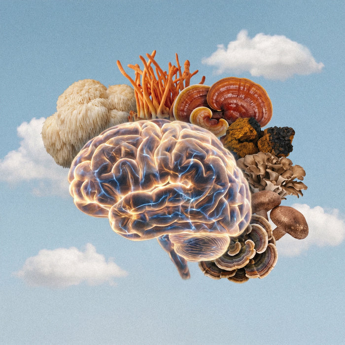 Focus that comes back — and compounds.