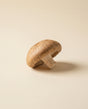 Shiitake